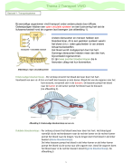Samenvatting biologie vwo 6 thema transport