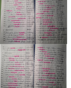 Bookfile Engels handgeschreven klas 3