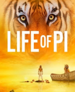 Uitgebreide samenvatting 'Life of Pi'