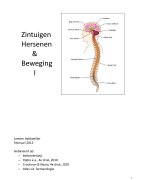 Samenvatting ZHB1