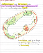 Hoofdstuk 1 Voeding en Verbranding