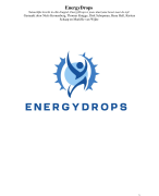 Ondernemingsplan EnergyDrops Nyenrode Business Universiteit propedeuse