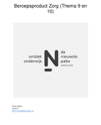 Beroepsproduct Thema 10 PABO 3