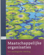 Maatschappelijke organisaties Samenvatting