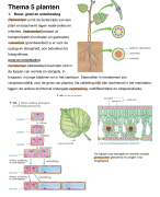 Biologie voor jou samenvatting H5 planten 5 VWO