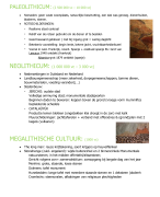 Architectuurgeschiedenis en actualiteit