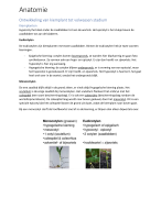 Biodiversiteit plant -Anatomie