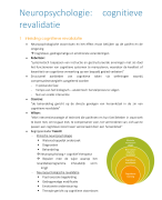 Samenvatting cognitieve revalidatie