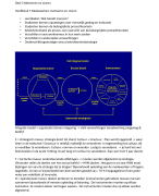 Uitgebreide HRM 2 samenvatting 