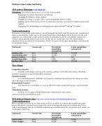 Eindcase Online Marketing Voorbeeld