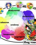 Oog voor vogels