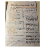 Samenvatting Overal Natuurkunde H1, 3vwo