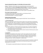 Summary Morality of Commercial Life Market Descriptions 1 and 2 for IBA