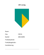Stageverslag Abn Amro