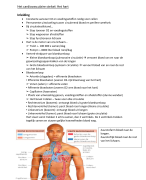 Anatomie en fysiologie: cardiovasculair stelsel 
