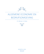 Algemene economie en bedrijfsomgeving