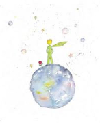 Samenvatting per hoofdstuk Le petit Prince