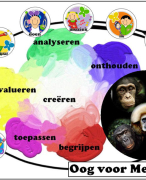 Oog voor mensapen