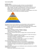 Management en organisatie periode 1