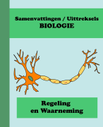 Samenvatting Biologie Regeling en Waarneming