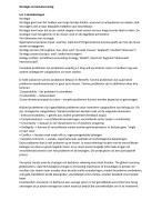 Samenvatting Strategie en Besluitvorming 2016