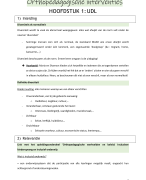 Samenvatting Orthopedagogische Interventies 