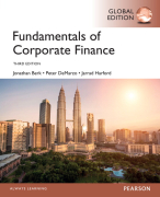 Samenvatting Asset Pricing and Capital Budgeting (E&BE)