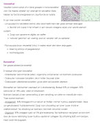 BCW samenvatting