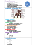 Samenvatting Rassenleer - Ba Jaar 1, Semester 1