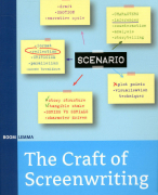 IMEM CO3 Script Writing Summary 