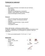 Prokaryote en eukaryote cellen
