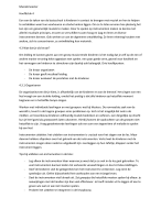 Muziek meester