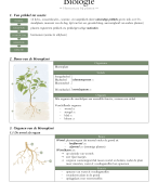 FOCUS biologie: thema 9: Homeostase bij planten