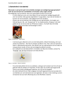 Kunstactualiteit samenvatting 2BA