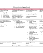 schema ontwikkelingspsychologie klc