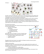 Immunology 