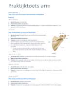 Praktijktoets arm - anatomie van het bewegingsapparaat (in vivo)