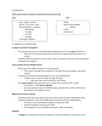 Summary Geography 2TTO Eduhint Chapter 3 Migration