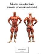 Patronen van extremiteiten