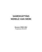 Samenvatting Wereld van Werk Periode 1, jaar 1 (P) 2016-2017