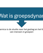 Groepsdynamica samenvatting met de belangrijke onderwerpen