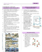 BVJ Thema 4 samenvatting 4VWO evolutie