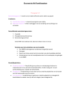 Economie H4 Familiezaken (3VWO)