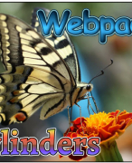 Antwoordblad Webpad vlinders