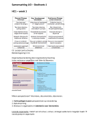 Samenvatting tentamen: colleges en artikelen Learning in Organizations (ovi)
