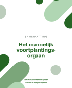 Samenvatting Het Mannelijk Voortplantingsorgaan Natuurwetenschappen