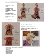 Biologie samenvatting vmbo leerjaar 3 en 4