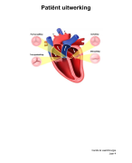 Patient uitwerking [Ziekenhuis] Cardio