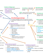 MINDMAPS van Hele boek ontwikkelingspsychologie - NTI toegepaste psychologie