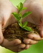 Biologie samenvatting: Ecologie, Mens en milieu